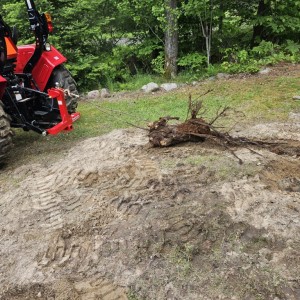 Stump.removed