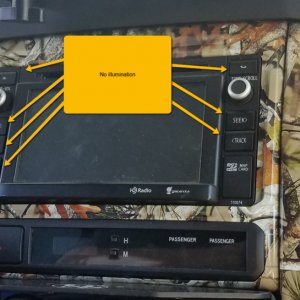 Tacoma Stereo Face