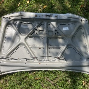 Silver hood with hinges