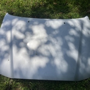 Silver hood with hinges