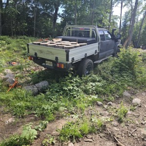 Free.hardwood