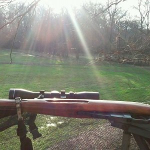 Its the mosin wonderful time of the year