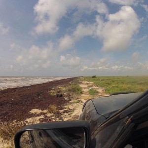 GOPR07571
