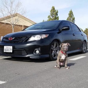 Rolla