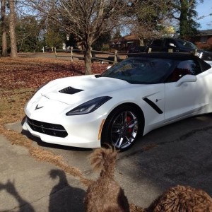 Front view....damned poodle in the way!