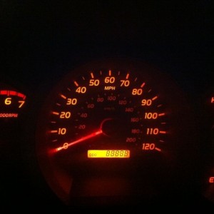 Dem 8s
