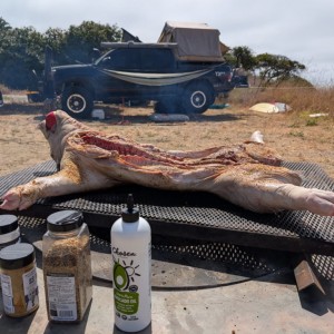 Dinner has started. Low and slow