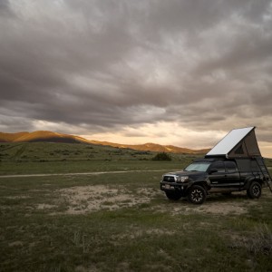 Montana
