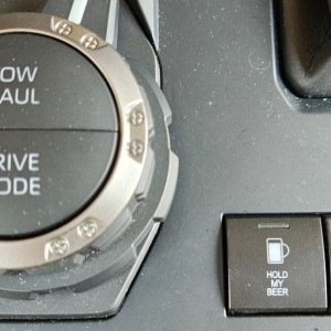 HOLD_my_beer_button