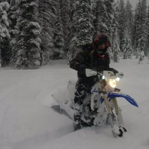 Timber sled