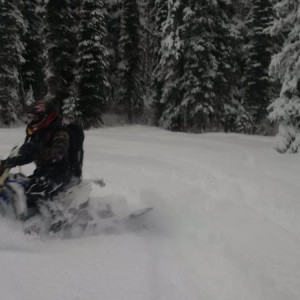 Timber sled