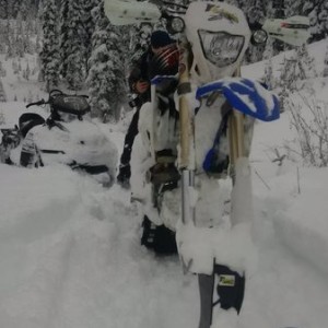 Timber sled