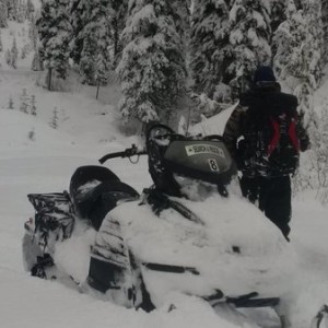 partner sled