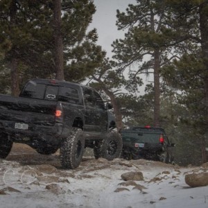 mall crawler at bunce