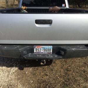 Tinted Tail Lights