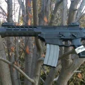 Sig556xi multi cal.