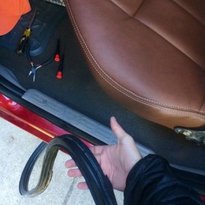 New weatherstrip