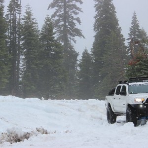 tacoma