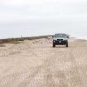 Dec '14 Beach Run