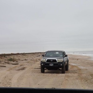 Dec '14 Beach Run