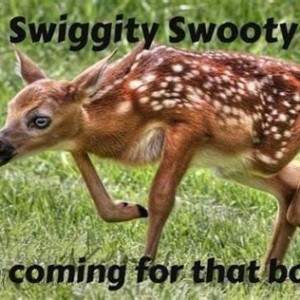 Swig