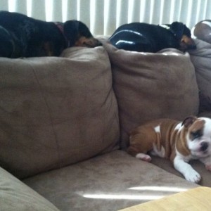 3 old girls not payin any mind to new one
