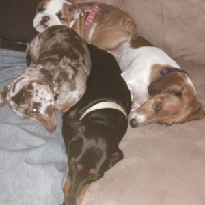 Now it's snuggle time