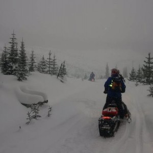 Sled training day