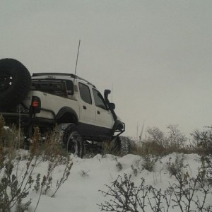 liveAIvOSs