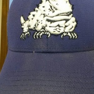 Fat