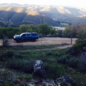 Hollister Hills late afternoon