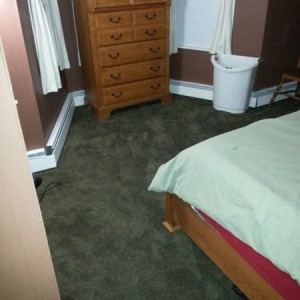 Better picture of the carpet color.