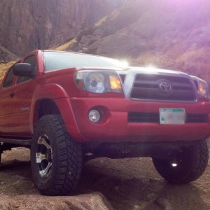 Montana tacoma