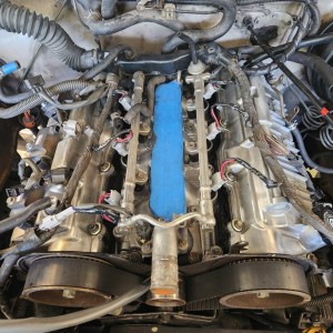 Tacoma6