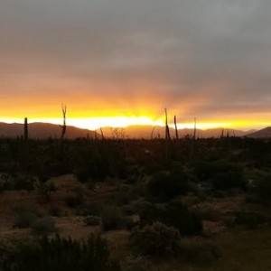 baja10001