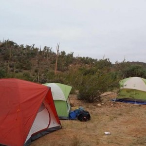 baja10008