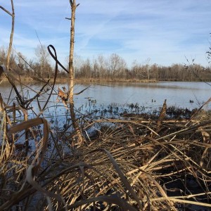 image11935