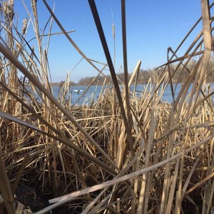 image11952