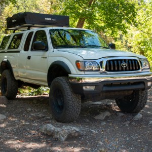 Taco 2002-38