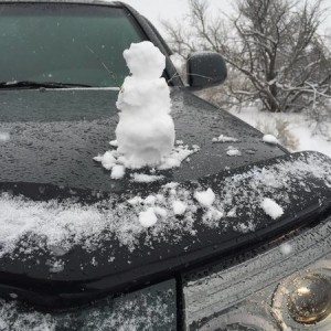 Snow man on the Taco!