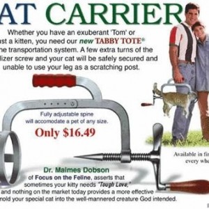 CatCarrier