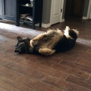 Lazy Sunday for Hades