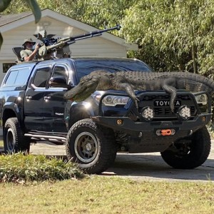 Gun And Gator
