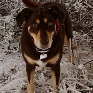 my girl