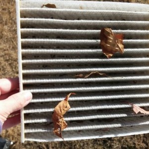 Stupid dealer forgot to check the cabin filter :laugh:
