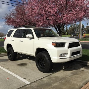 FAT