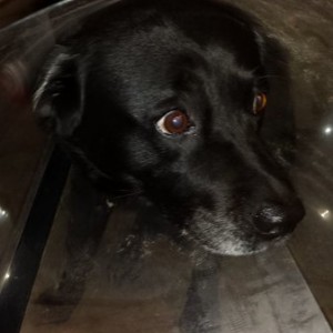 Annie is NOT happy