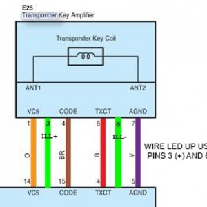 WIRING_DIAGRAM_-_AMPLIFIER2