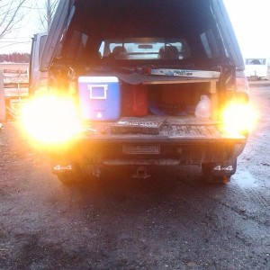 halogen/stock reverse bulbs