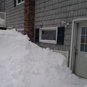 snow_back_2